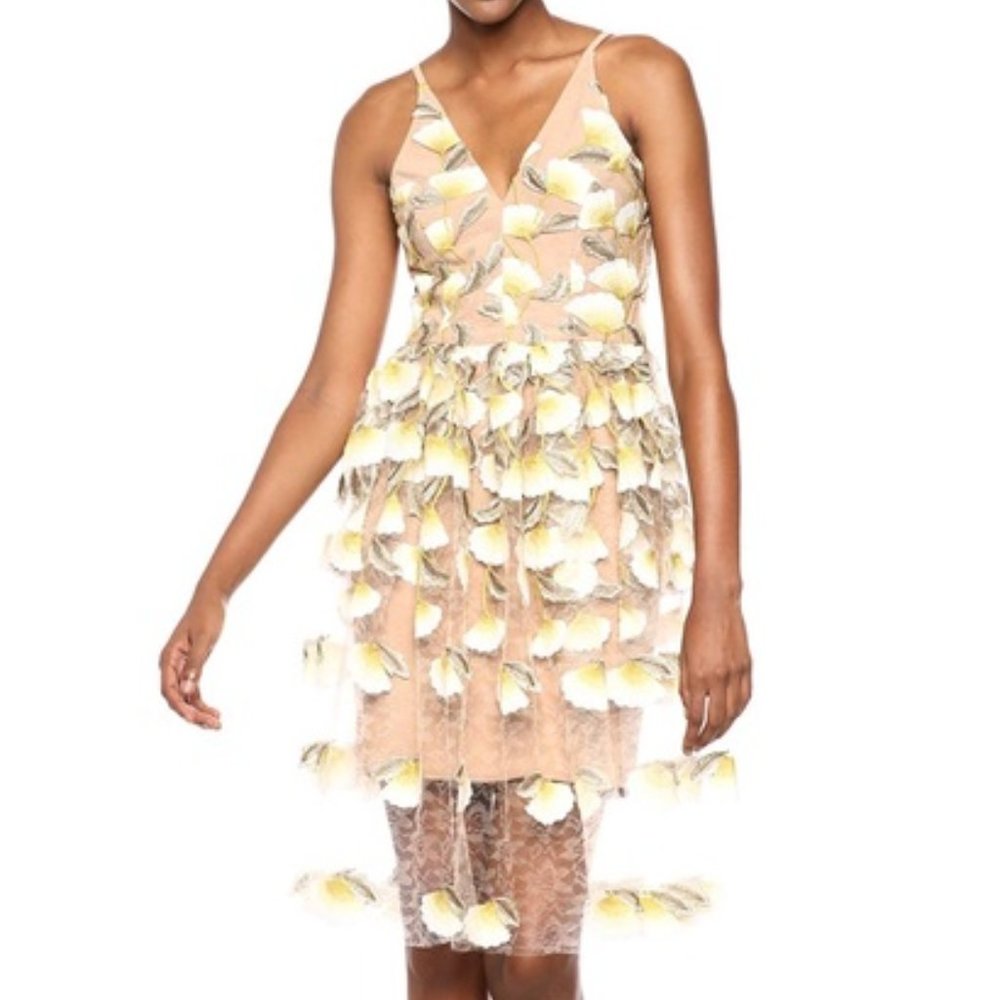 Dress the Population Betsey Embroidered Dress